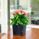 image 2 of 300mm Low Square Concrete Effect Plant Pot - 29.5x29x29 cm | Black | Black & Set of 2 | 2