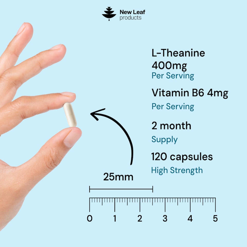 image 1 of L-Theanine Plus Vitamin B6 High Strength 400mg Capsule