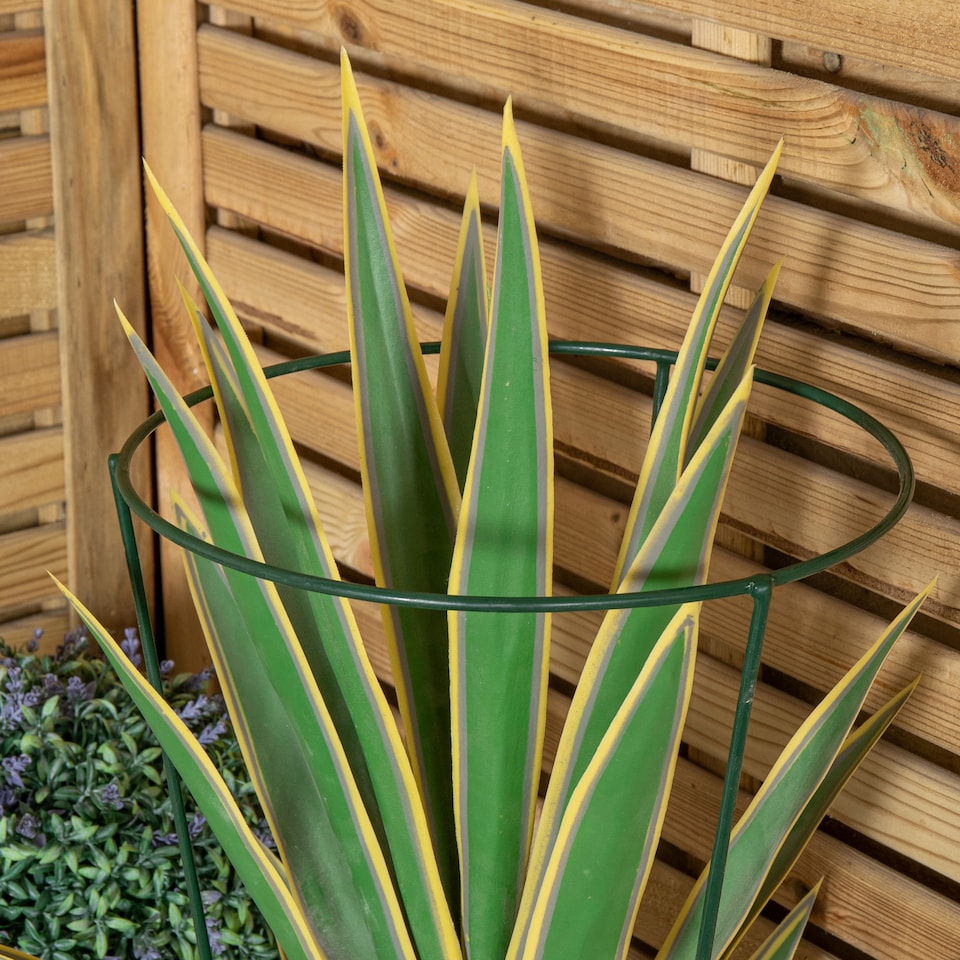 image 1 of Pack of 3 Tom Chambers Urban Green Conical Garden Plant Support Ring 30cm -  Medium