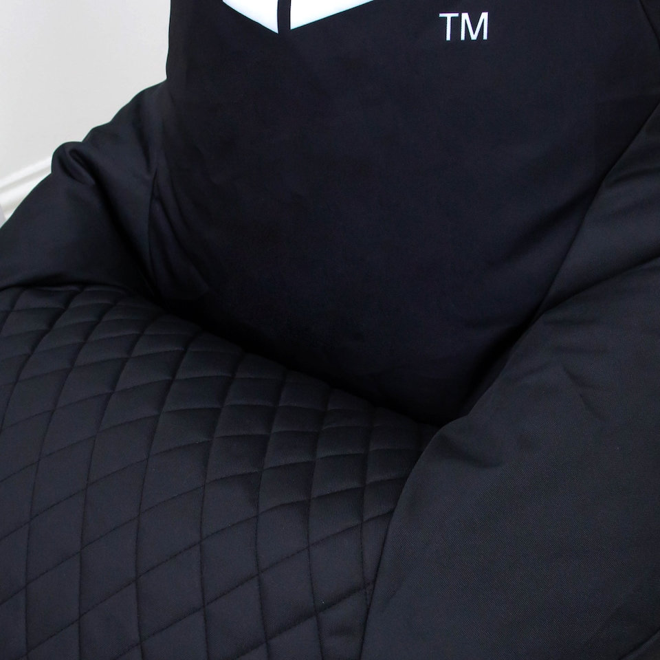 image 1 of Playstation Mono Bean Chair