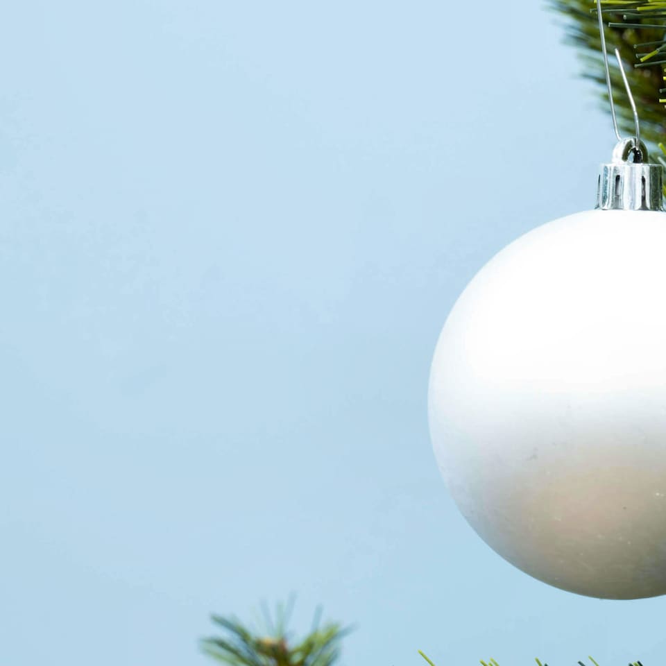 image 1 of Christmas Tree World  8ft/240cm Matterhorn Pine Christmas Tree