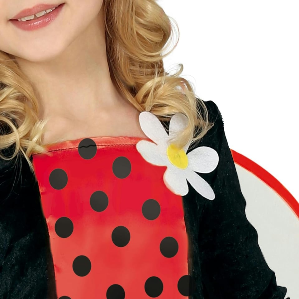 image 1 of Fancy Dress Child Mariquita - 5-6 Years