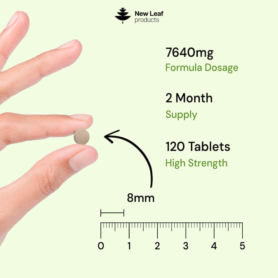 image 1 of Ginkgo Biloba & Panax Ginseng Tablets + Vit B3 & B5