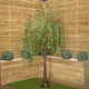 image 2 of 7ft (2.1m) Tall Light up Christmas Willow Tree with 384 Warm White LEDs