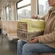image 3 of Transportini Pet Carrier Travel Crate Cat Dog Cage Portable Box Pastel | Yellow | Pastel Yellow | Large | 1