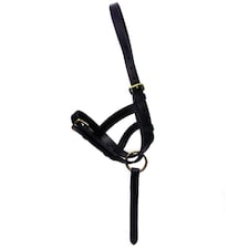 Hy Leather Foal Slip - Black - Small