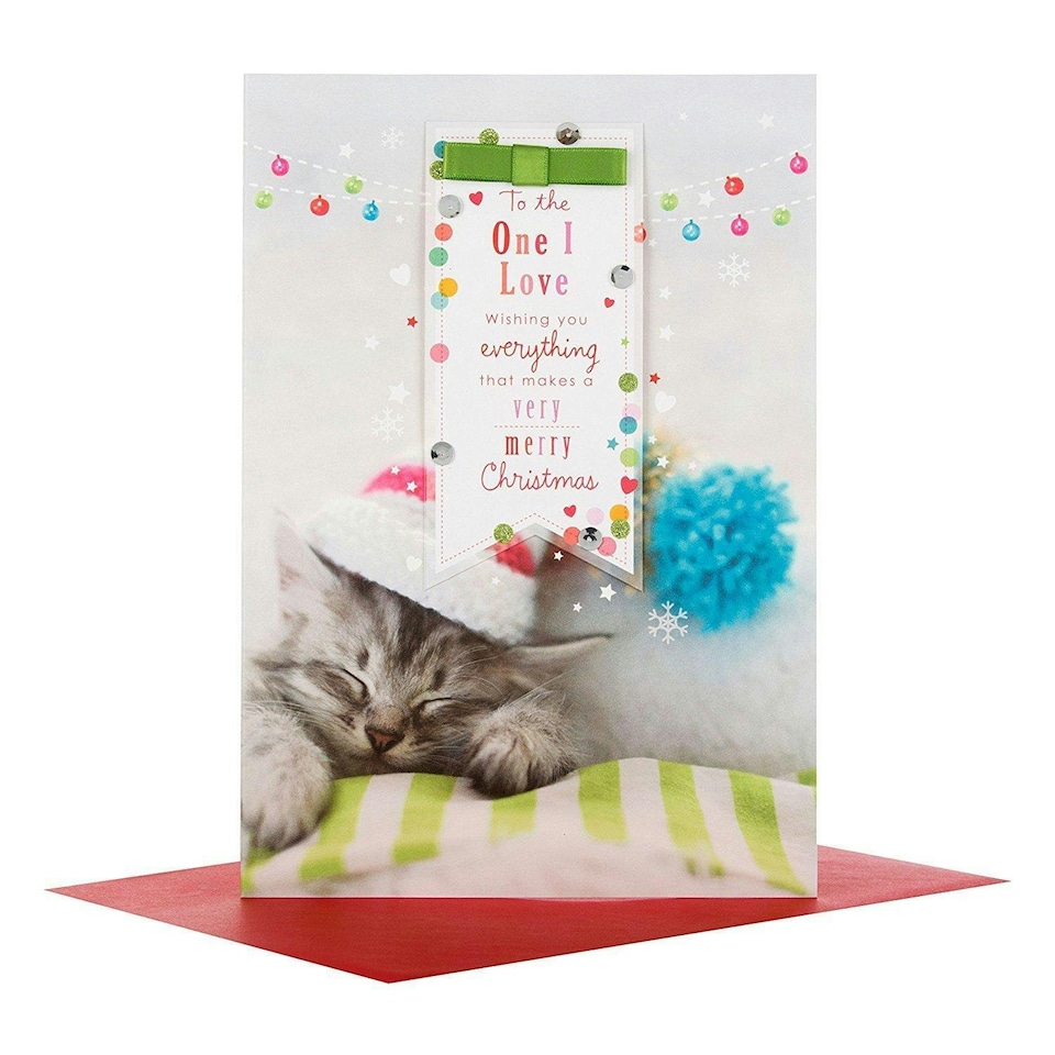 image 1 of One I Love 'How Much You Mean' Cute Cat Christmas Card