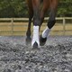 image 10 of LeMieux Ultra Mesh Snug Boots Front Blue | Medium