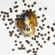 image 5 of Flea & Tick Treats