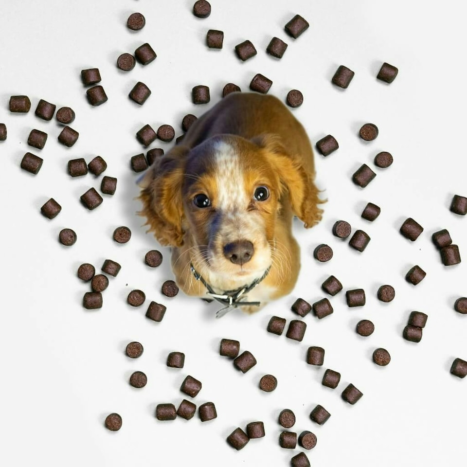 image 1 of Flea & Tick Treats