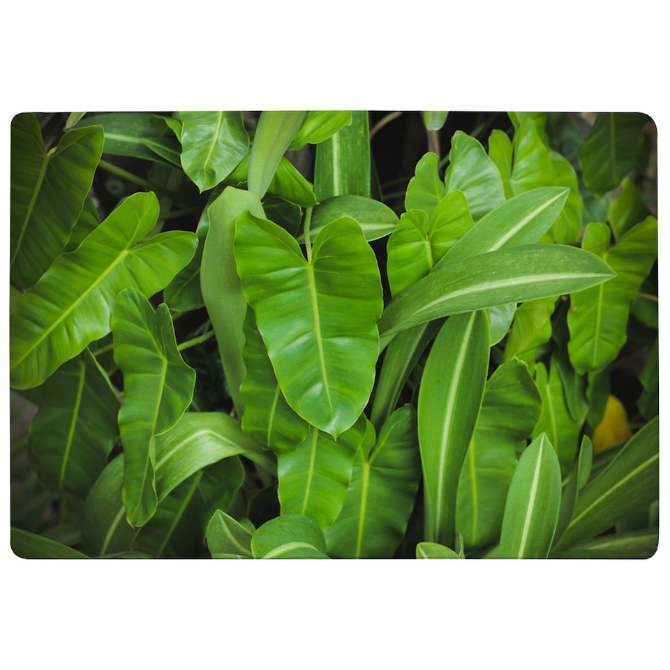 image 1 of Abstract Background Of Dark Green Leaves Designer Rug | Multi