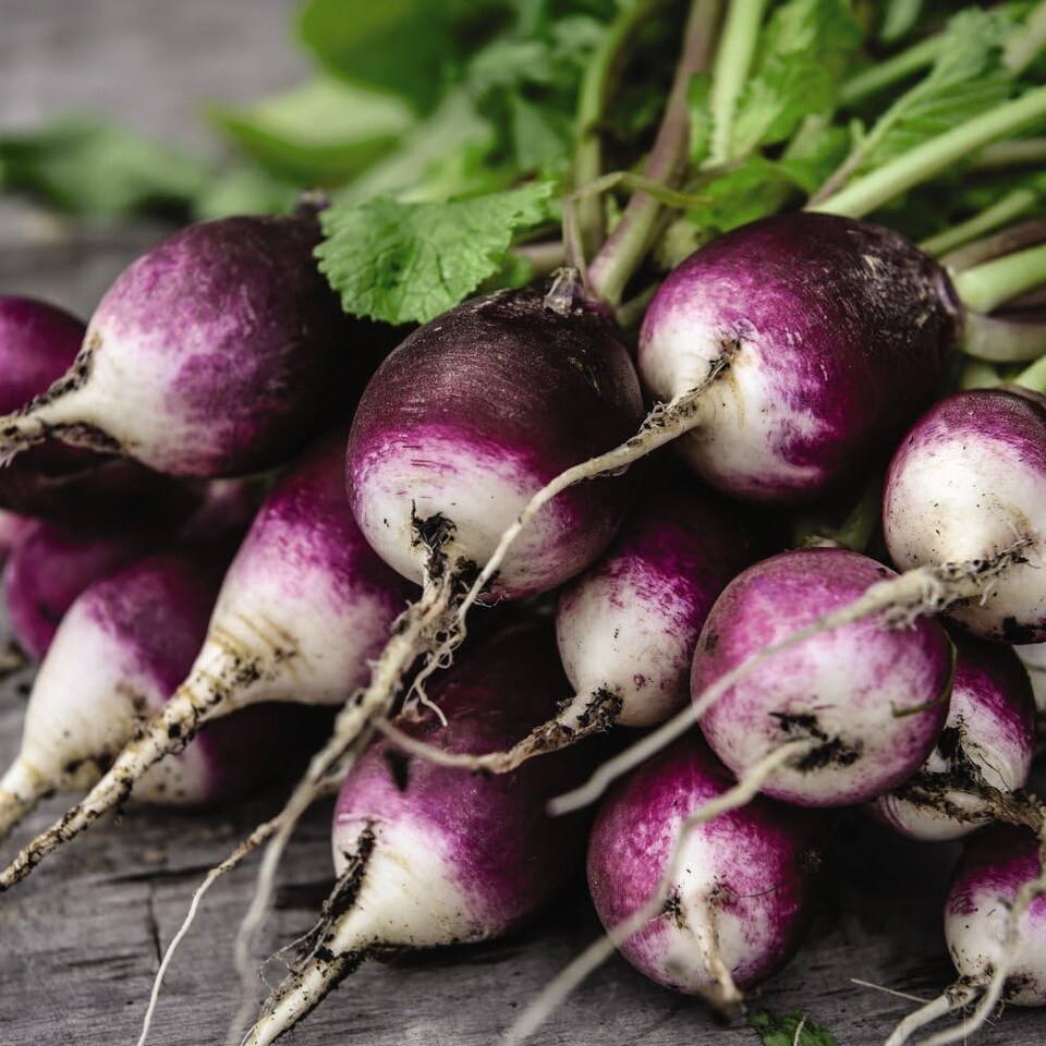 Radish Diana Kew Gardens 1 Seed Packet (350 Seeds)