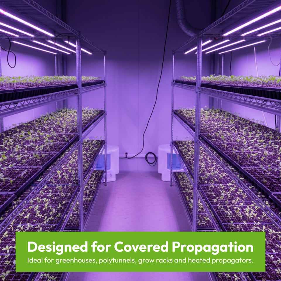 image 1 of 390 Cell Plug Trays Seedling Propagation Trays with Drainage Holes Pack of 8