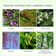 image 3 of Outsunny Set of 2 Metal Trellis for Climbing Plants, Grid Design, 50 x 180cm