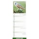 image 3 of Owls Slim 2026 Calendar | Slimline Wall Calendar | Bird Gift | Plastic Free Packaging | by Avonside Publishing [Calendar] Avonside Publishing Ltd