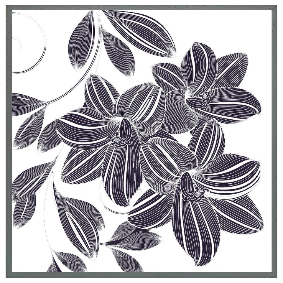 image 1 of Orchids (Picture Frame) Black | XS