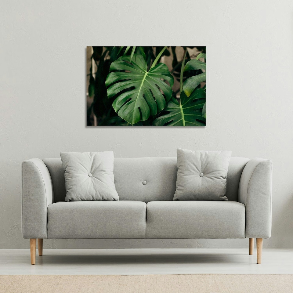 image 1 of Monstera Leaves in home interior (Canvas Print) 127 x 101 x 4cm