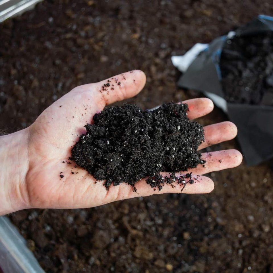 Compost Ericaceous 25 Litre Bag x 1