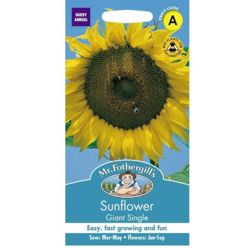 image 1 of Fothergills Premium Sunflower Seeds - Giant Single