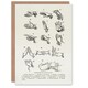 image 1 of Joseph Gibbons Richardson Art Card Positions of Hand Gestures