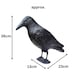 image 3 of Marco Paul Plastic Black Crow Scarer 36cm