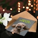 image 4 of Shocked Cockapoo How Old Joke Cockapoo For Him Birthday Card