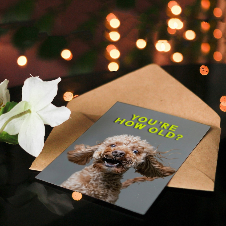 image 1 of Shocked Cockapoo How Old Joke Cockapoo For Him Birthday Card