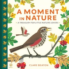 A Moment In Nature
