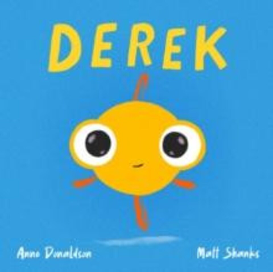 Derek Hardback Book