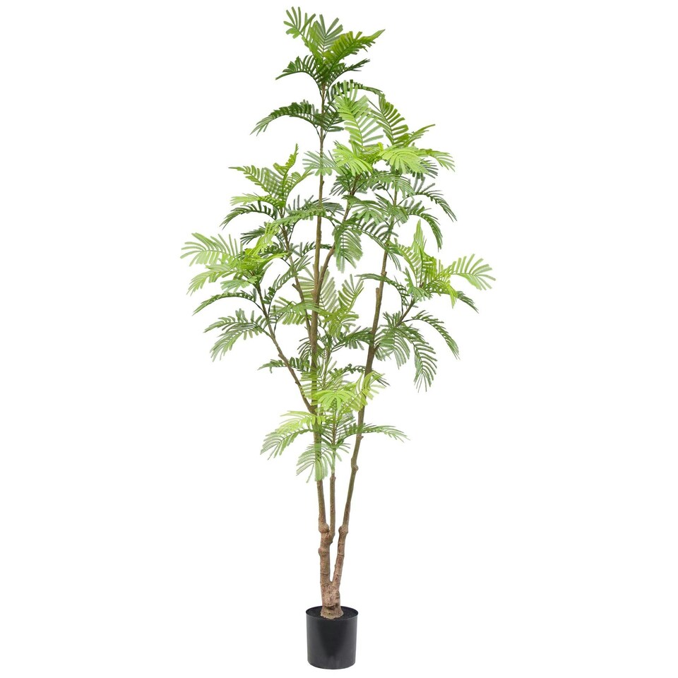 image 1 of 240cm Spiny Date Palm Realistic Artificial Tree