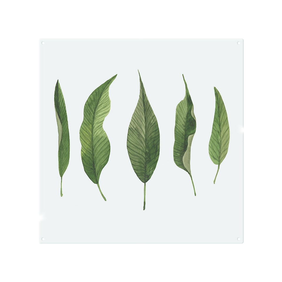 image 1 of Selection Of leaves Designer Splash Back | White