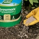 image 1 of Westland Growmore Fertiliser NPK 7-7-7 Balanced All-Purpose Garden Feed 8kg tub