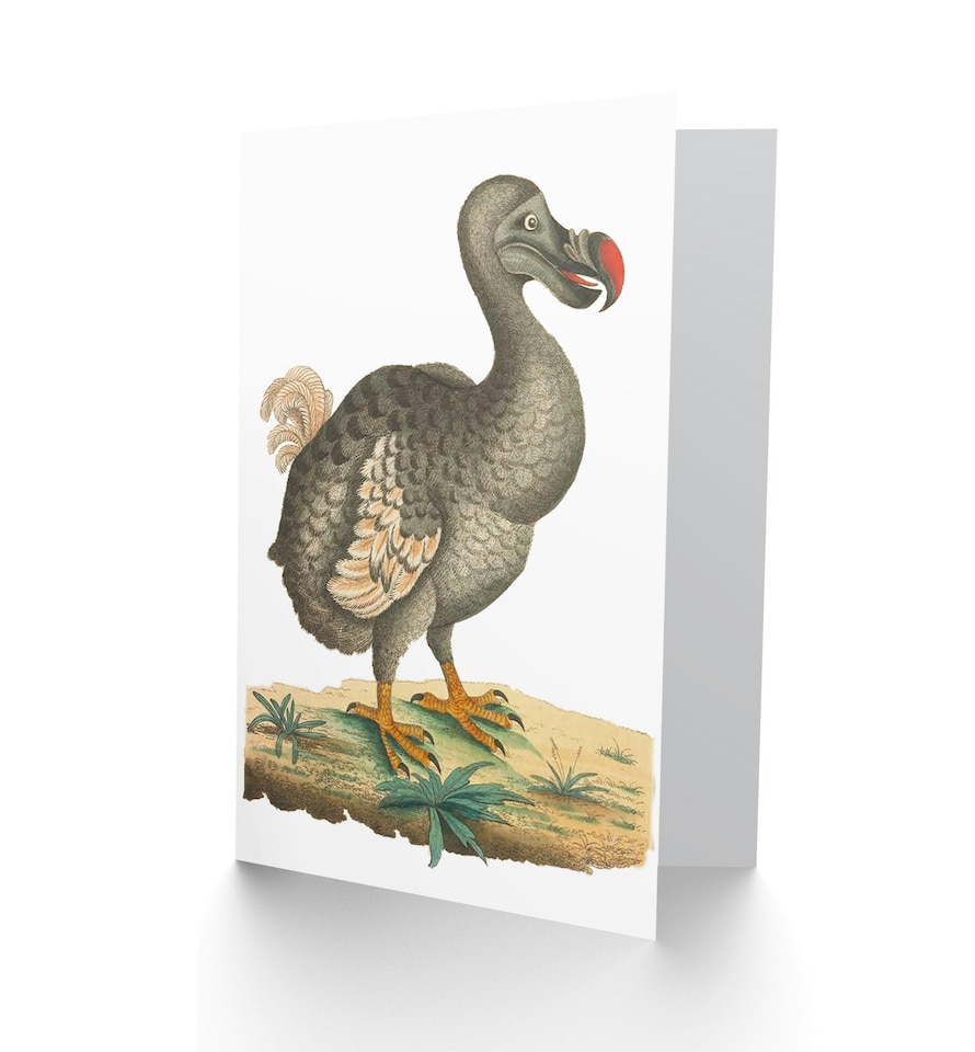 image 1 of Dodo Extinct Animal Bird Vintage Illustration Greetings Card