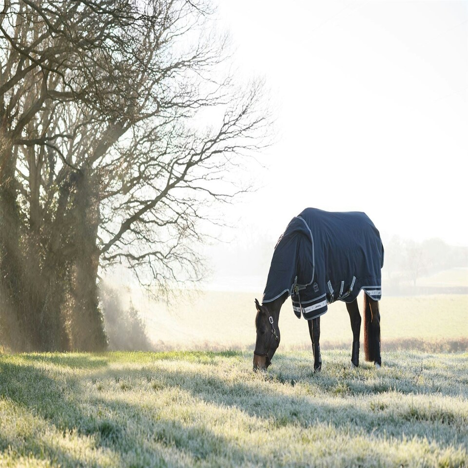 image 1 of LeMieux Arika Storm-Tek Rug 350g Blue | 5ft 9