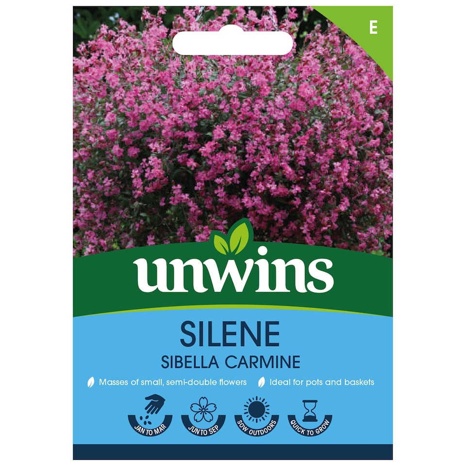 image 1 of Silene Sibella Carmine | Multi | Pink | Flower Seeds | 1