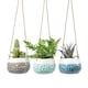 image 3 of Burgon & Ball Baby Dotty Trio Hanging Baskets Set