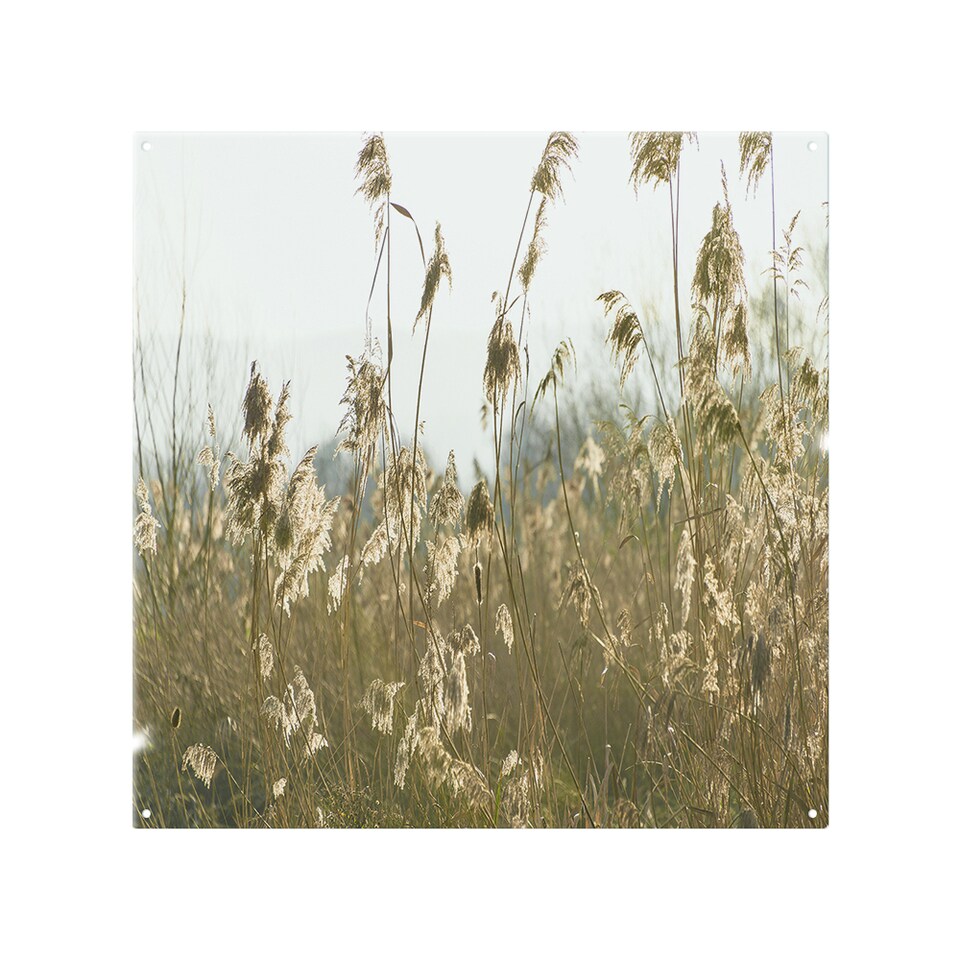 image 1 of Plumes Slimbridge Designer Splash Back | White