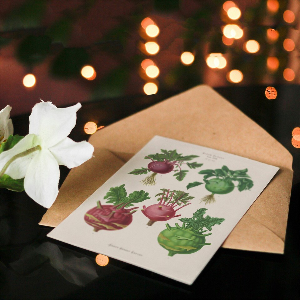image 1 of Ernst Benary Art Card Kohlrabi Turnip Cabbage Varieties