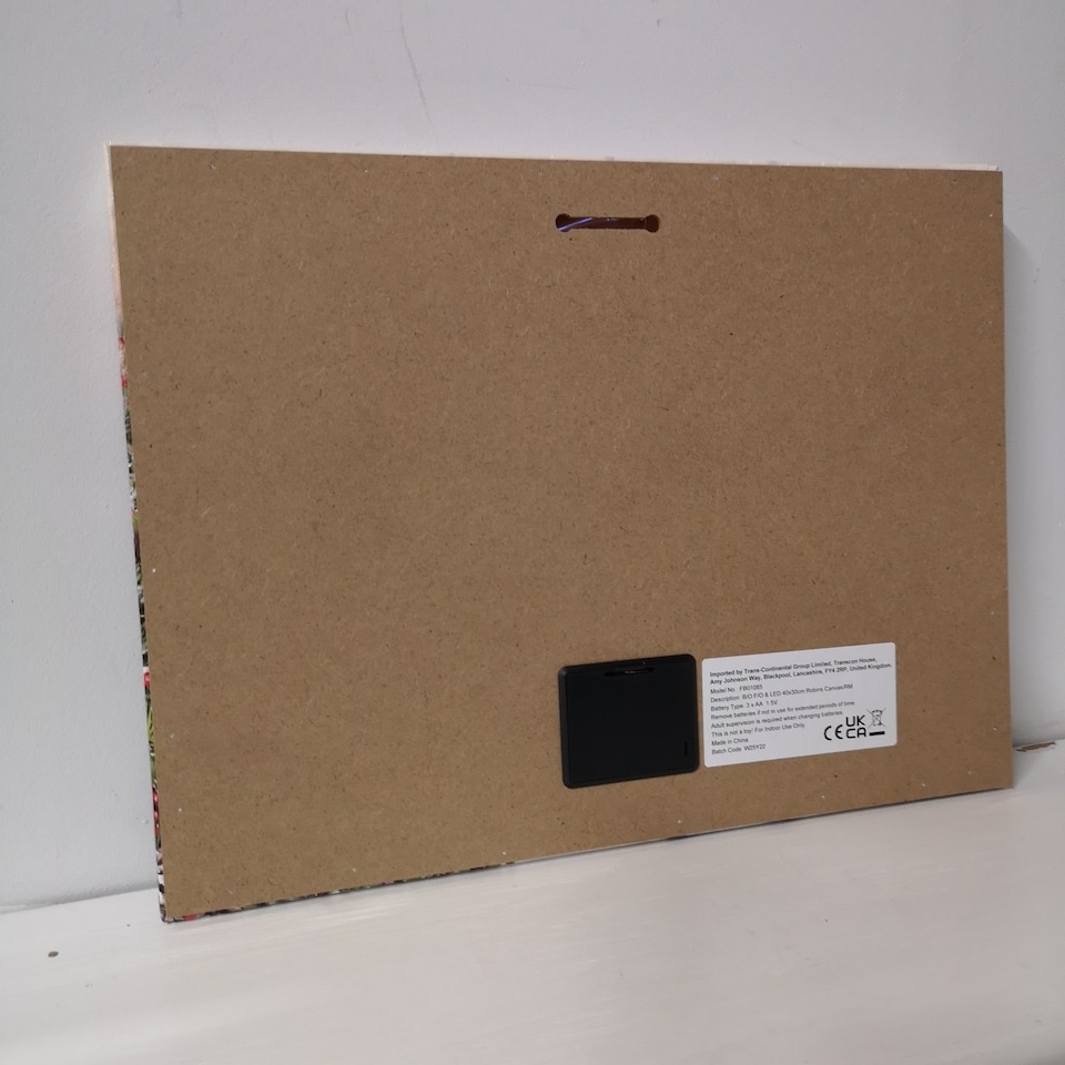 image 1 of H30cm x 40cm Christmas Scene With Robins Wall Art Canvas