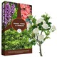 image 3 of 1 Bag 60L Rose Tree & Shrub Small Large Gardening Planting Soil For Indoor & Outdoor