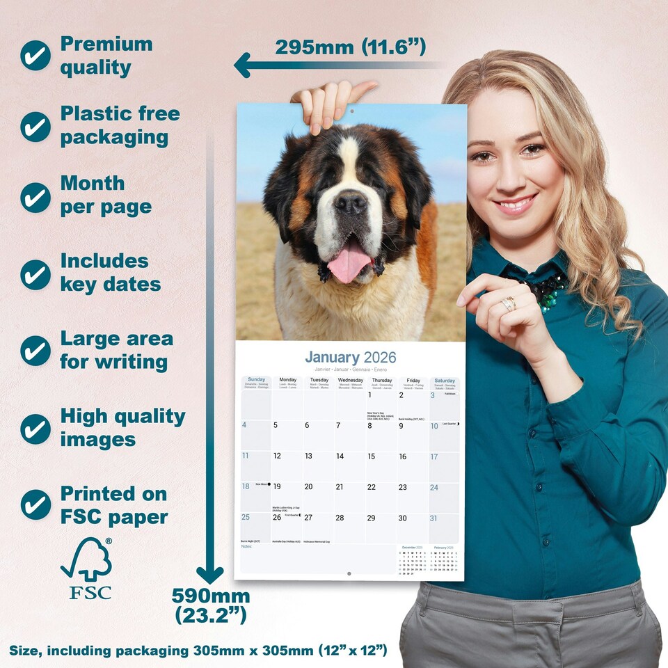 image 1 of Saint Bernard 2026 Calendar | Square Wall Calendar | Dog Breed Gift | Plastic Free Packaging | by Avonside Publishing