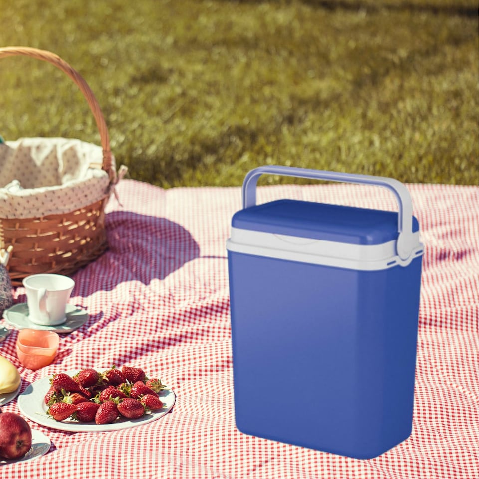 image 1 of 12L Camping Lunch Cooler Box | Blue | 1