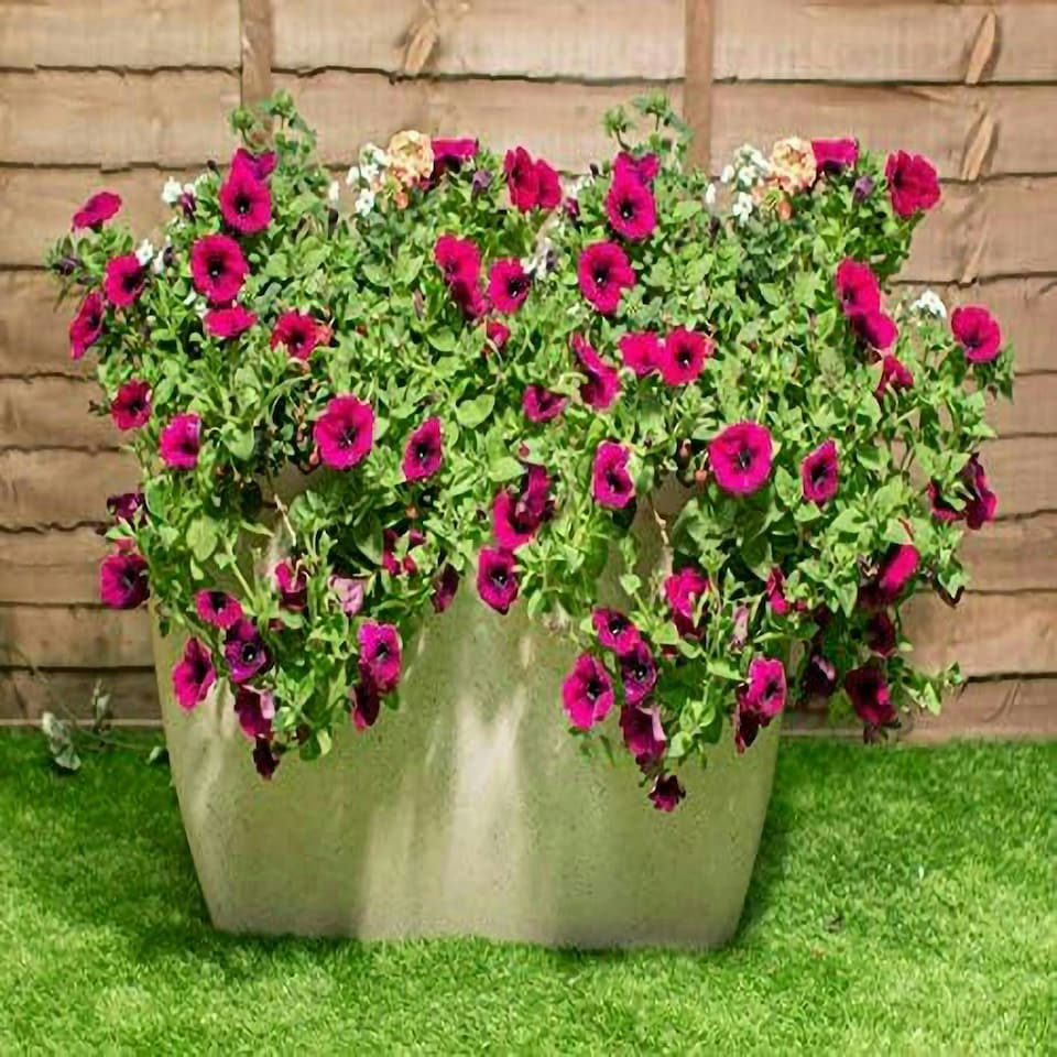 image 1 of Primrose Stone Effect Resin Planter Indoor Outdoor Rectangular in White 59cm
