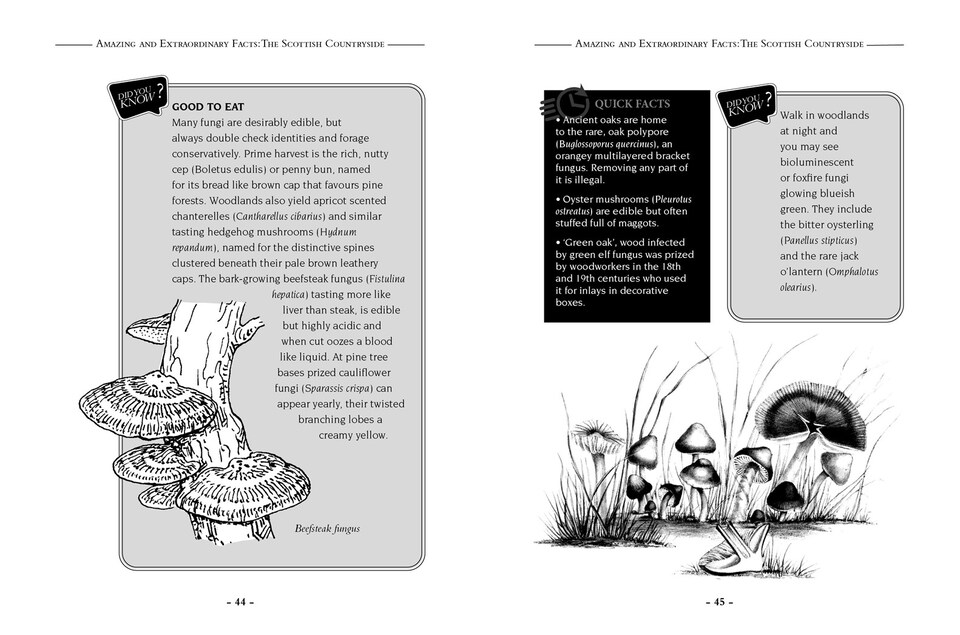 image 1 of Amazing & Extraordinary Facts - The Scottish Countryside Book