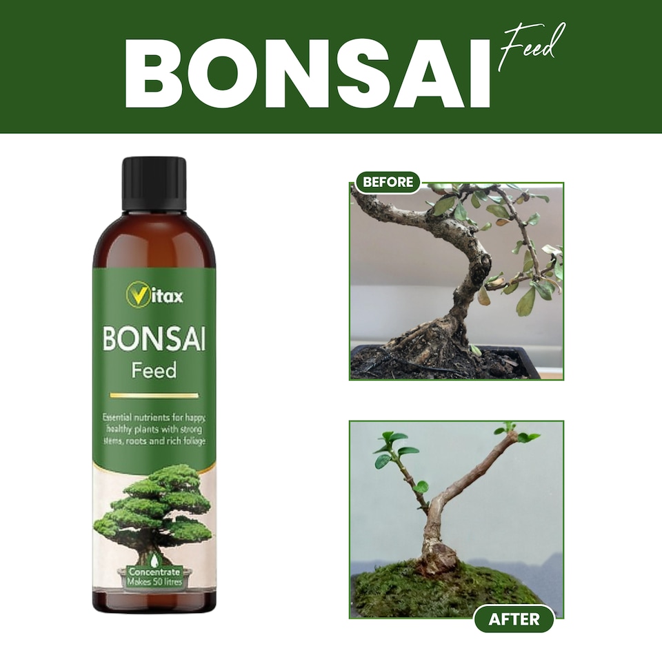 image 1 of Vitax Bonsai Liquid Feed 250ml Concentrated Seaweed-Enriched Nutrient Plant Feed