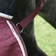 image 3 of Highlander Plus Combo Neck 100g Horse Turnout Rug - Maroon - 5´ 3"