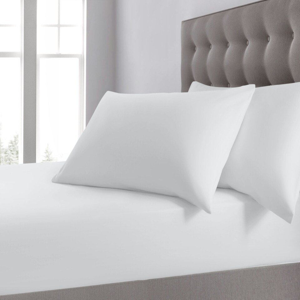 Velosso Plain Dyed Cotton Blend Fitted Sheet White | White | Super King