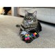 image 4 of Rosewood Moody Moggy Star & Bell