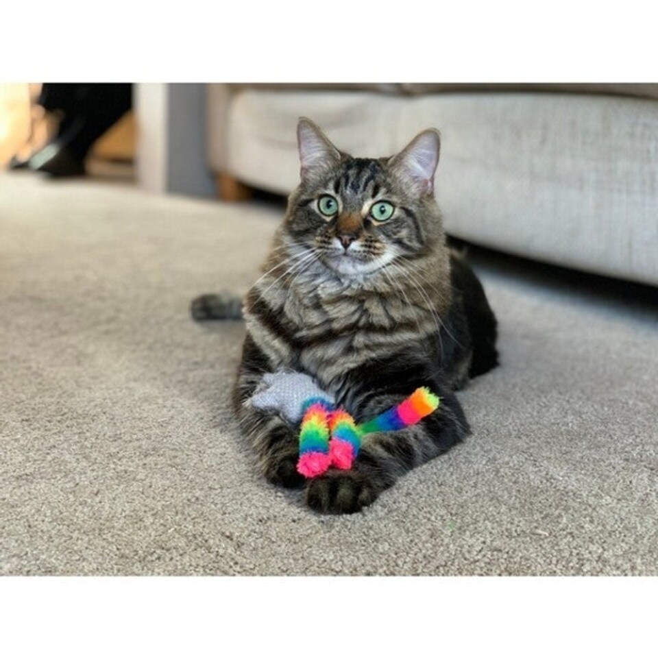 image 1 of Rosewood Moody Moggy Star & Bell