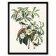 image 1 of Audubon Framed Wall Art Print Bachmans Warbler and Franklinia Tree Home Décor